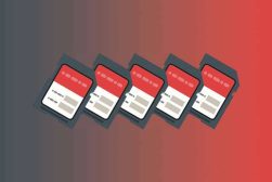 four sd cards on a red background.