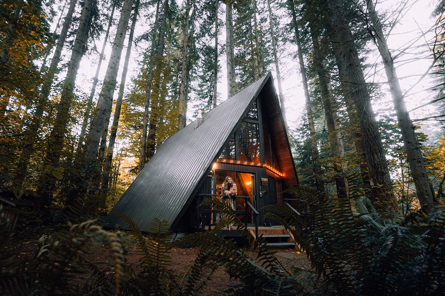 A cabin in the woods with a tree in the background.