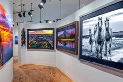 A gallery with framed pictures of horses and a wooden floor.